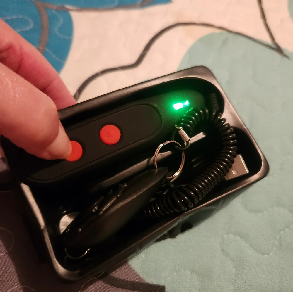 UltraSonic new dog